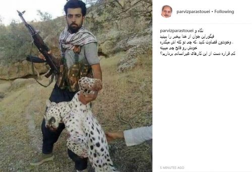 واکنش پرویز پرستویی به عکس سلفی این شکارچی با پلنگ ایرانی