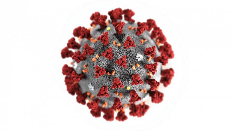 ویروس جدید کرونا تا چه حد کشنده است؟